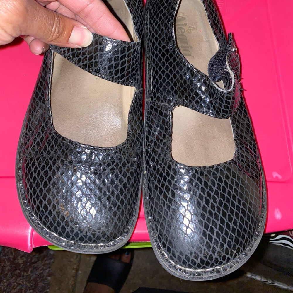 Alegria size. 40